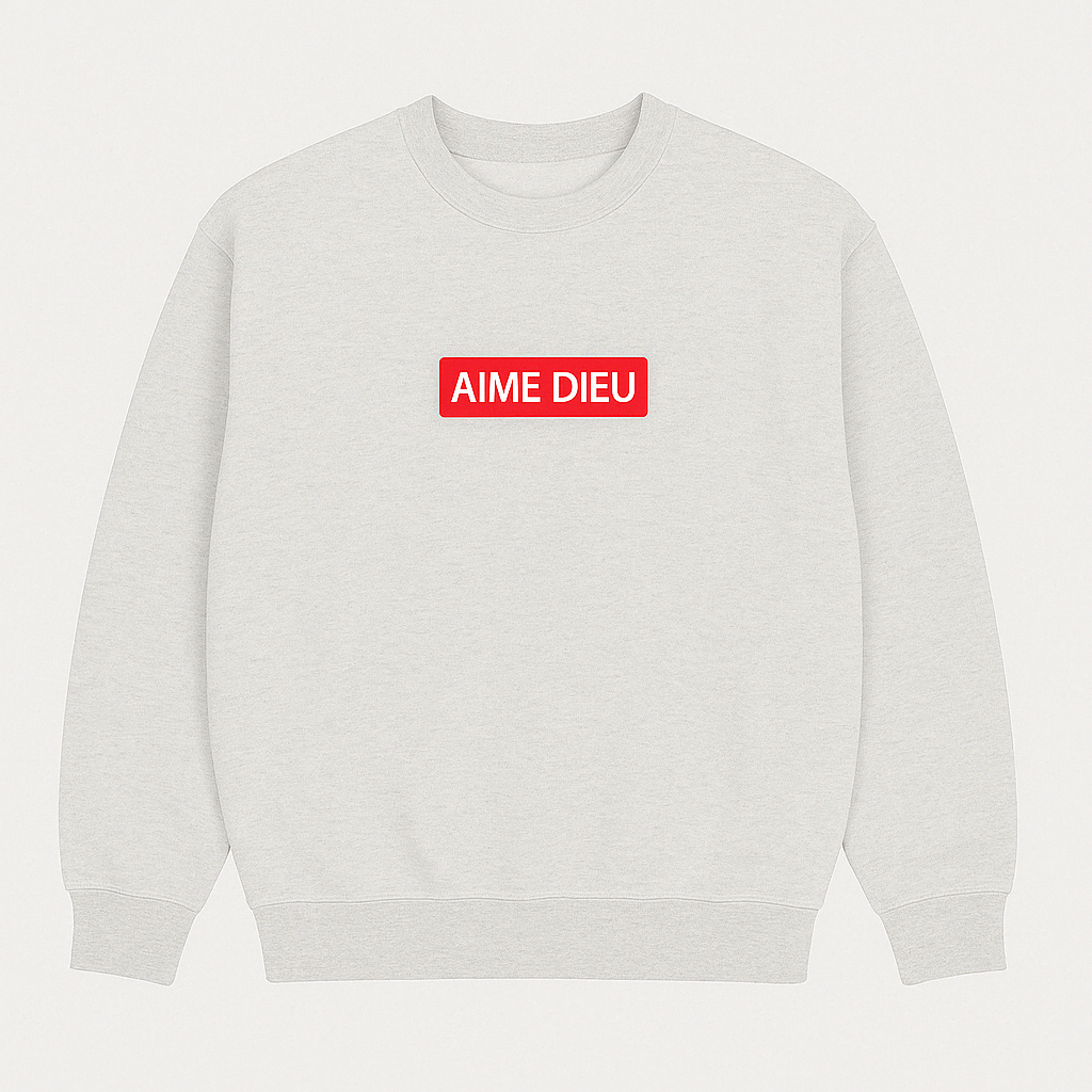AIMEDIEU Box Sweatshirt