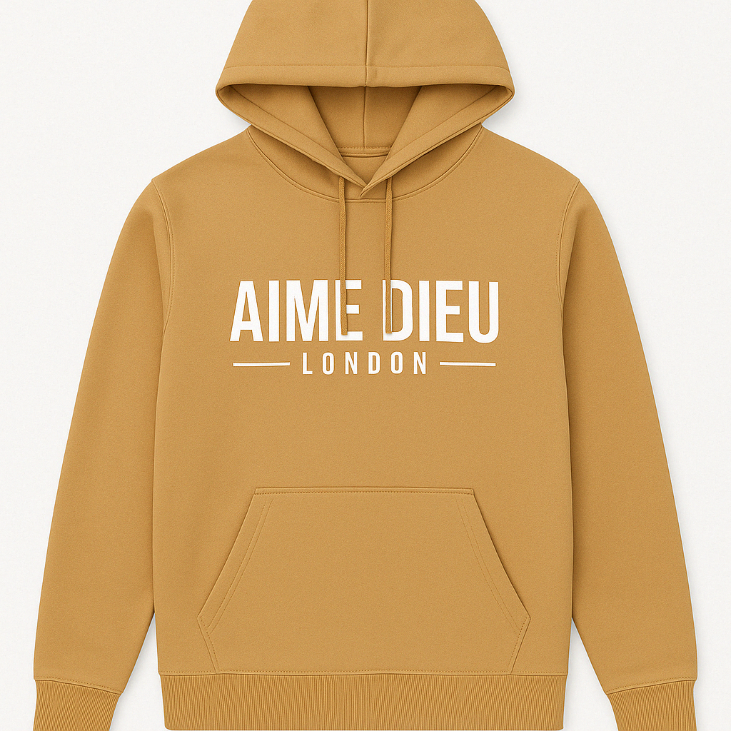 AIMEDIEU Block Oversized Hoodies