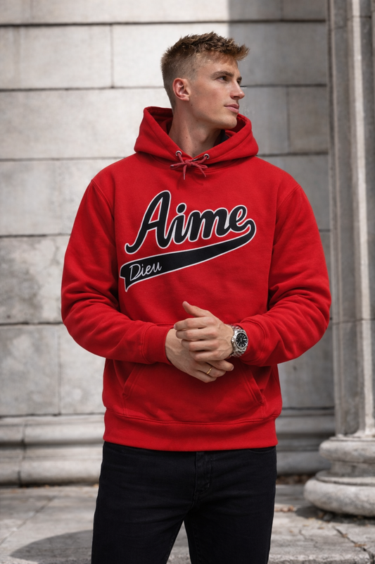 AIMEDIEU Mens BOSS hoodie