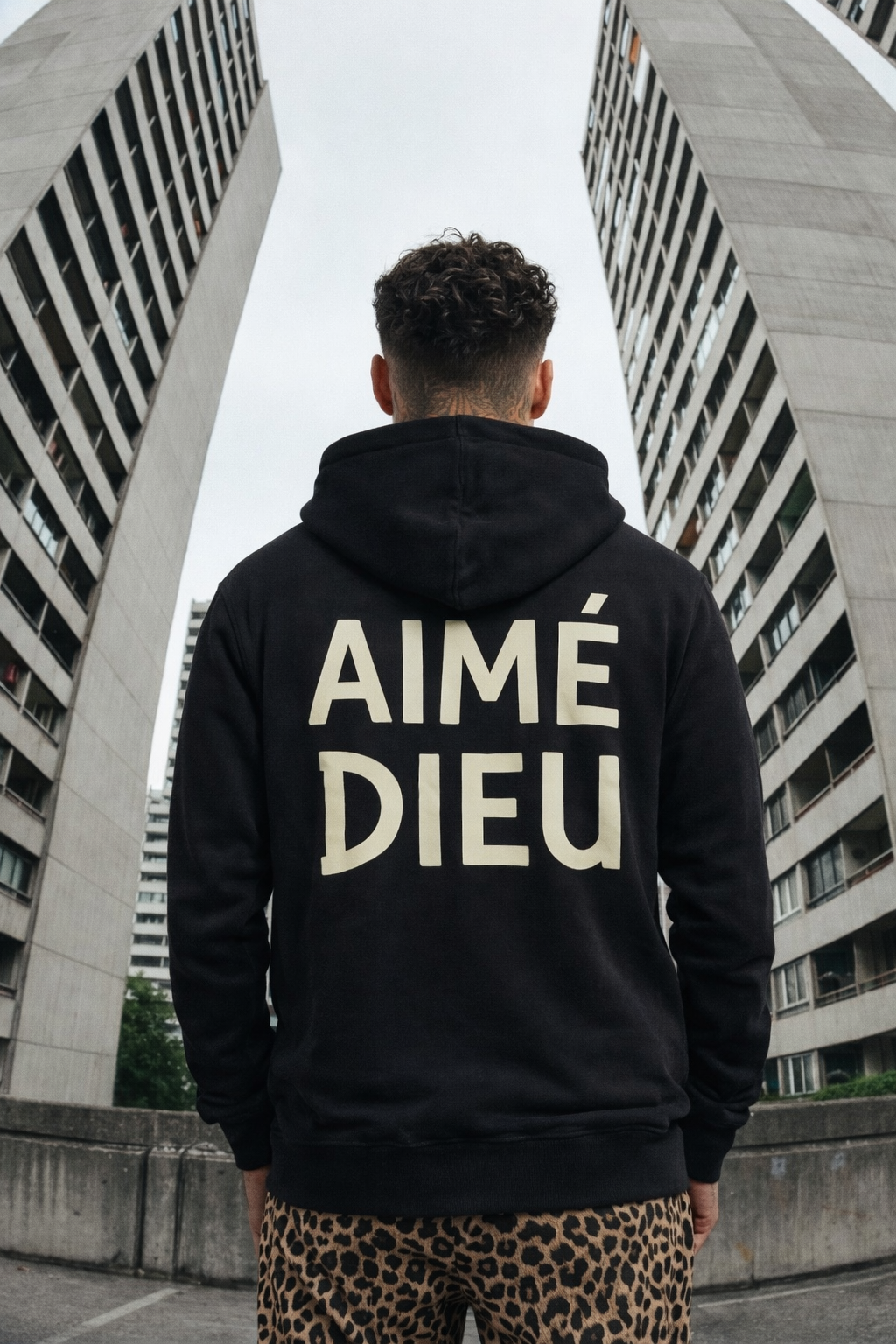 AIMEDIEU France edition
