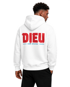 Mens Relaxed Paint Print Hoodie AIMEDIEU