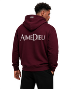 Oversized Graphic Hoodie - Paris Print AIMEDIEU