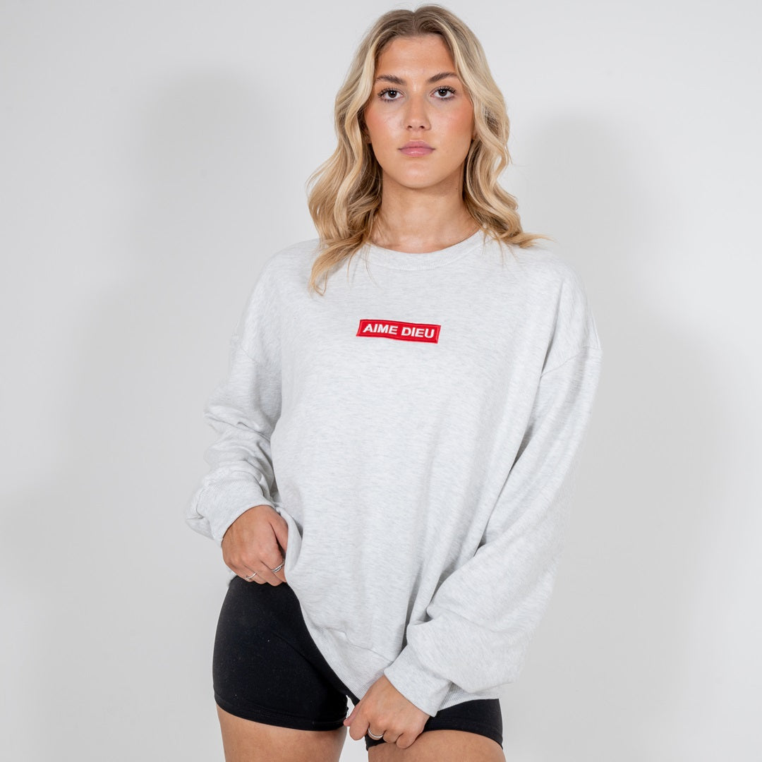 Box Logo Oversized Sweatshirt