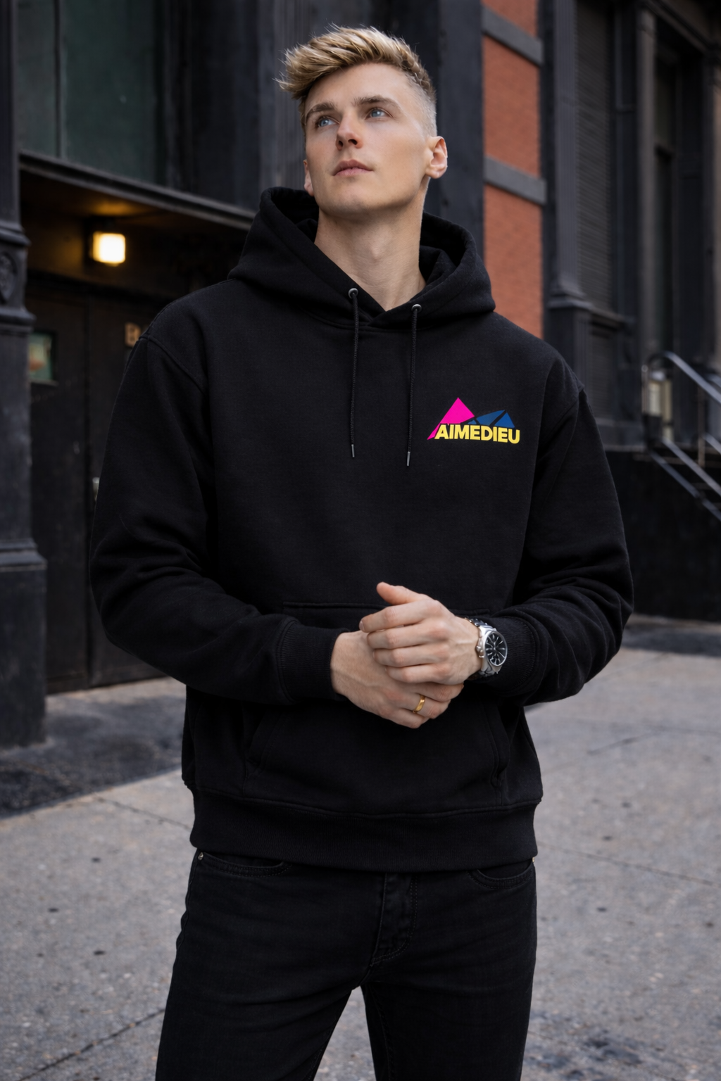 AIMEDIEU Mountain style hoodie - 2025 NEW DROP!!!