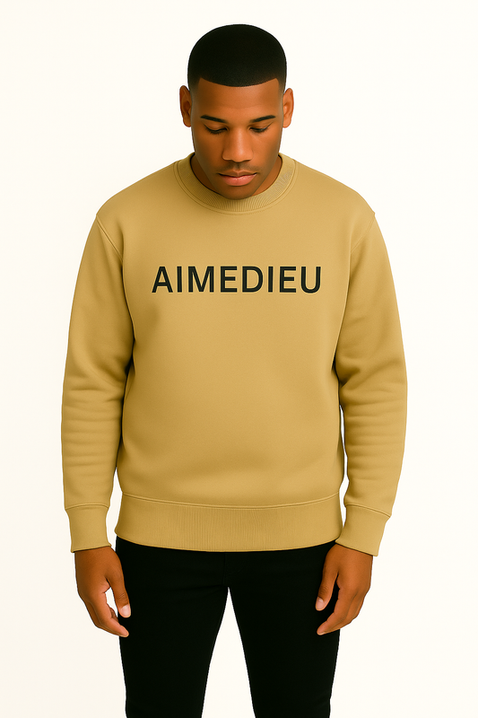 AIMEDIEU Oversized Sweatshirt