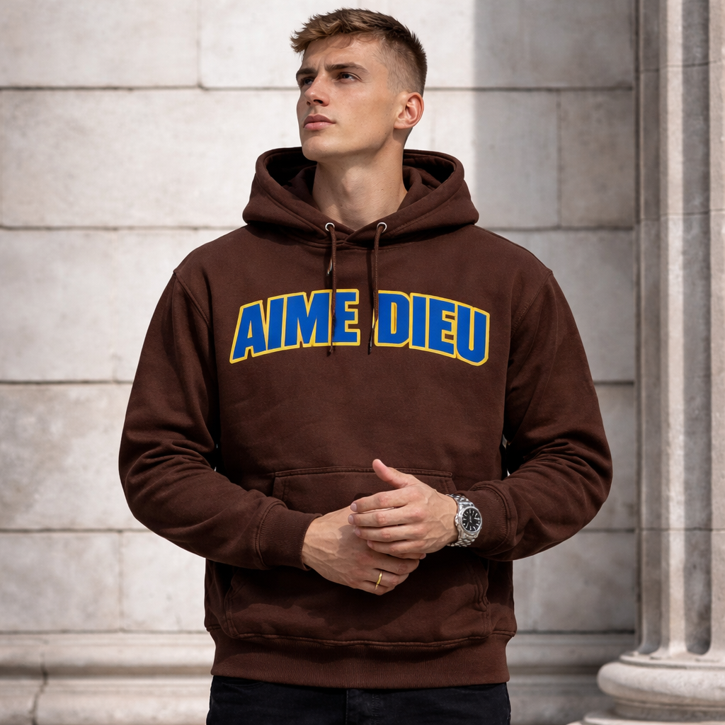 AIMEDIEU Brown Hoodie