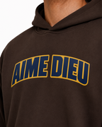 AIMEDIEU BROWN BLOCK HOODIE