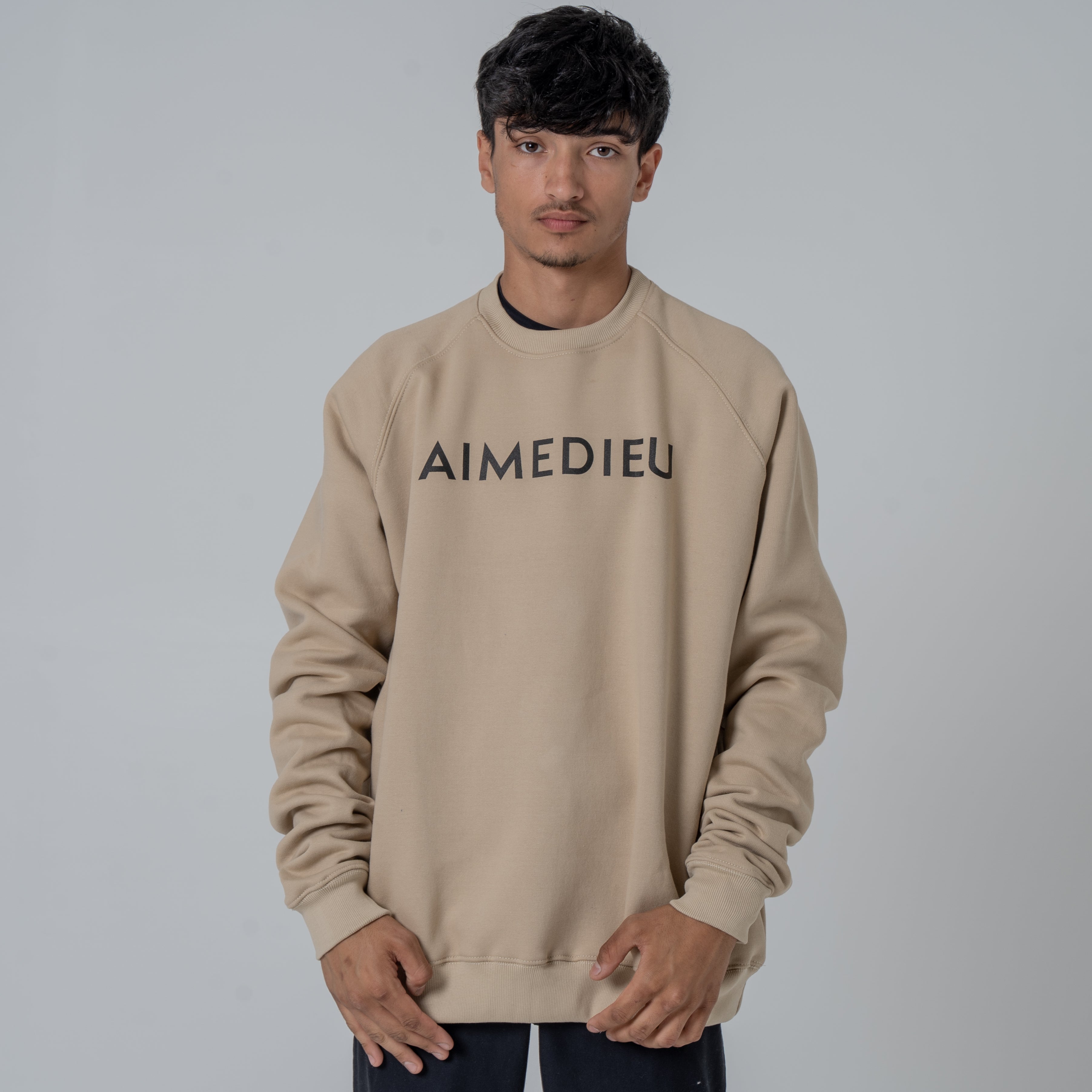 AIMEDIEU Oversized Sweatshirt