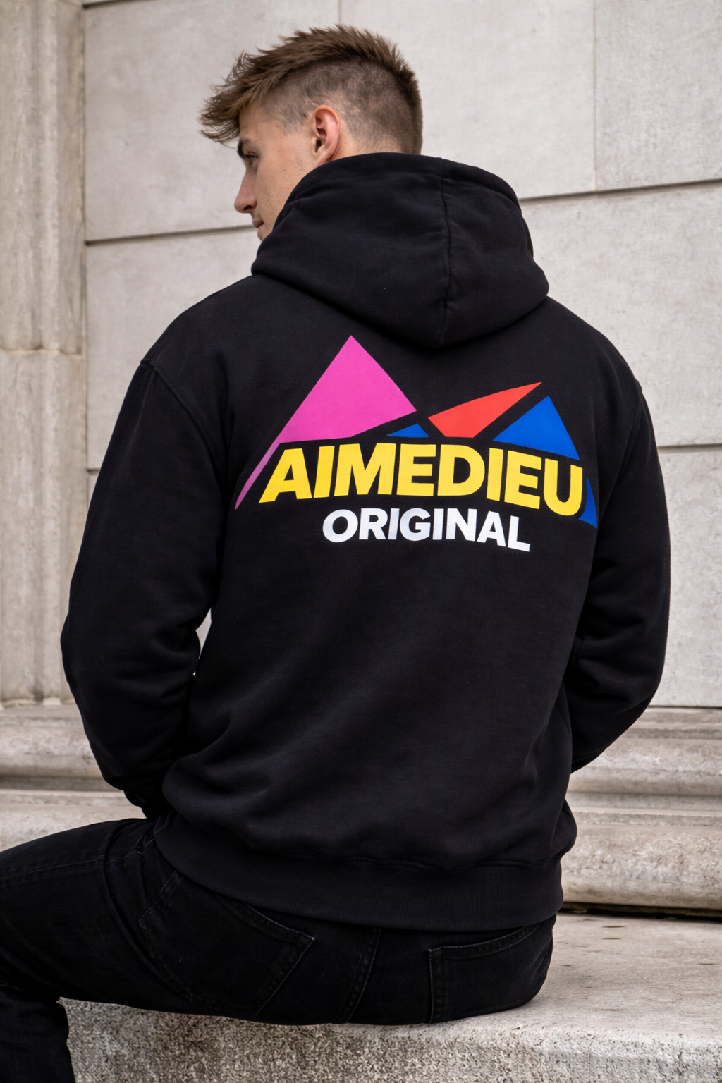 AIMEDIEU Mountain style hoodie - 2025 NEW DROP!!!