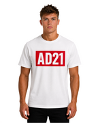 Oversized Heavyweight Graphic Ree - AD21 Print AIMEDIEU