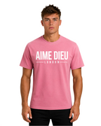 Heavyweight Block Fit Tee AIMEDIEU