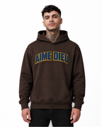 AIMEDIEU BROWN BLOCK HOODIE