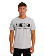 Heavyweight Block Fit Tee AIMEDIEU