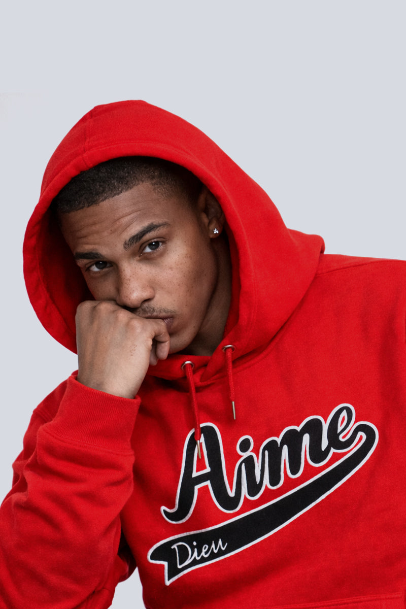 AIMEDIEU Mens BOSS hoodie